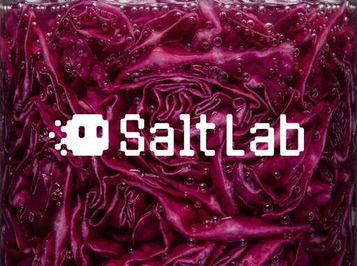 Salt lab cover image